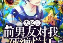 《失忆后前男友对我死缠烂打》小说章节在线试读,《失忆后前男友对我死缠烂打》最新章节目录-读书翁