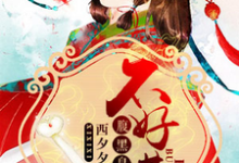 免费在线阅读腹黑皇叔不好惹小说的正规网站有哪些?-读书翁