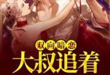 寻找能够免费阅读双向暗恋:大叔追着我不放小说的平台-读书翁