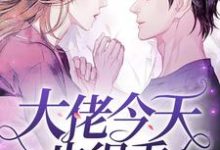 大佬今天也很乖小说,大佬今天也很乖免费阅读-读书翁