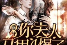 主角苏黎陆承爵宁宁小说完结版在线阅读,爵爷,你夫人马甲A爆了免费看-读书翁