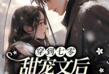 免费看穿到七零甜宠文后,我装穷吃瓜小说的网站有哪些?-读书翁