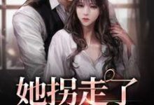 《她拐走了清冷大佬》全集免费在线阅读(林晚陆醉寒)-读书翁