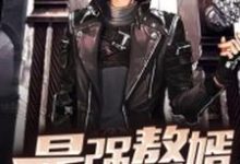 最强赘婿小说全文哪里可以免费看?-读书翁