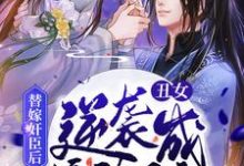 完结版《替嫁奸臣后,丑女逆袭成摄政王妃》在线免费阅读-读书翁