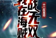 十二生肖符：我在海贼战无双小说有没有完结版在线？-读书翁