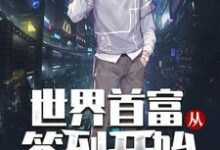 林天宇林曦的故事在哪本书里?免费阅读世界首富从签到开始-读书翁