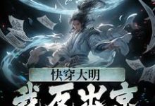快穿大明:我反出京师对抗皇帝小说完结版章节免费阅读-读书翁