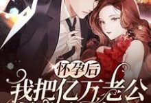 小说《怀孕后，我把亿万老公始乱终弃了》在线章节阅读-读书翁