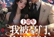 小说《上错车,我被豪门总裁倒追》章节阅读-读书翁