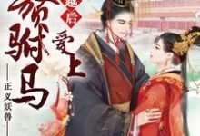穿越后爱上入赘驸马这本小说怎么样?免费在线阅读试试-读书翁