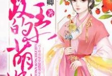 摄政王的小萌妃小说最新更新在哪里？免费在线看-读书翁