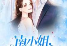 完整版的南小姐,复婚请签字小说在哪里可以免费读到?-读书翁