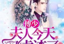 傅少,夫人今天又虐渣了小说,傅少,夫人今天又虐渣了叶黎傅深叶芝芝宋战-读书翁