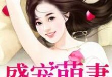 完结版《盛宠萌妻》章节目录在线阅读-读书翁