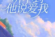 小说《虐恋情深：听不到他说爱我》章节阅读-读书翁