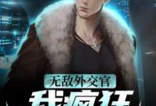 林宇小说《无敌外交官!我疯狂掠夺国运》在线阅读-读书翁