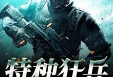 特种狂兵小说完结了吗？在哪里可以免费读到？-读书翁