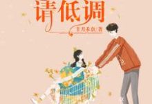 完结版《甜宠暖婚:总裁宠妻请低调》章节目录在线阅读-读书翁