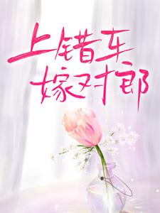 上错车，嫁对郎 叶渺江约城，上错车，嫁对郎在线无弹窗阅读