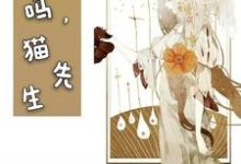 陆泽羽沈惜怜小说叫什么（可以吗，猫先生免费阅读）-读书翁