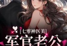 完结版《七零神医美，军官老公宠不停》章节阅读-读书翁