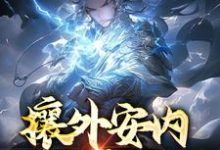 攘外安内,一人亦可为最新章节,攘外安内,一人亦可为免费阅读-读书翁