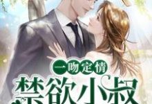 姜愿傅砚礼为主角的小说叫什么?免费看一吻定情:禁欲小叔太难撩-读书翁