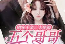 江思意穆执是哪本书的主角?寻找团宠千金:大佬被五个哥哥宠翻了免费阅读-读书翁