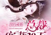 寻找契约成婚,总裁宠妻30天小说的最新更新章节-读书翁