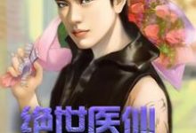 哪里能找到绝世医仙在打工小说的全部章节？-读书翁