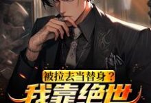 免费在线阅读被拉去当替身？我靠绝世名曲转正了小说的正规网站有哪些？-读书翁