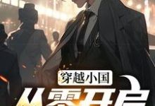 完结版《穿越小国,从零开启S3赛季》免费阅读-读书翁