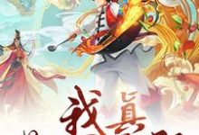 我真是个厨子啊（陈宗孔如曼）在线免费阅读-读书翁