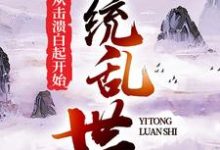 一统乱世:从击溃白起开始赵括田婉小说免费阅读-读书翁