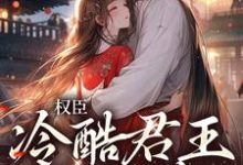 完结版《权臣：冷酷君王苦追妻》免费阅读-读书翁