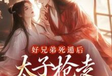 完结版《好兄弟死遁后，太子抢走了娇娇》章节目录在线阅读-读书翁