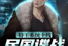 袁野小说在线章节免费阅读(特工系统上线,民国谍战很轻松无弹窗无删减)-读书翁