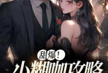 寻找甜爆!小糊咖攻略京城大佬小说的最新更新章节-读书翁