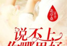 说不上你哪里好，我却忘不了免费阅读，说不上你哪里好，我却忘不了章节在线阅读-读书翁