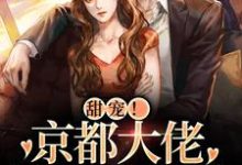 祝京棠靳泊谦的完整故事在哪里?读甜宠!京都大佬狂宠小白狐小说-读书翁