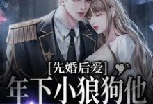 求先婚后爱：年下小狼狗他占有欲超强小说免费资源-读书翁