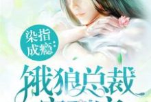 染指成瘾:饿狼总裁宠到底夏望莫斯南莫梵洛小说大结局免费试读-读书翁