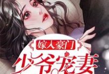 嫁入豪门：少爷宠妻无节制！这本小说怎么样？免费在线阅读试试-读书翁