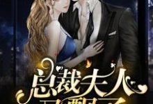 求推荐可以免费阅读总裁，夫人又飘了小说的网站-读书翁