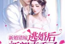 宋蕴蕴江曜景小说在线章节免费阅读(新婚错嫁,逃婚后新郎真香了!无弹窗无删减)-读书翁
