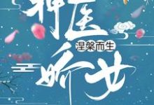 小说《神医娇女涅槃而生》在线章节阅读-读书翁