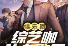 娱乐圈:综艺咖化身歌王小说完结版章节免费阅读-读书翁