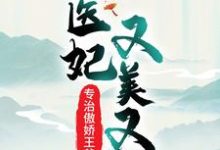医妃又美又飒,专治傲娇王爷(魏紫风澹渊)在线免费阅读-读书翁