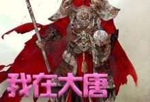 求我在大唐卖军火小说免费资源-读书翁